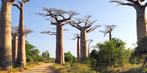 Sud-ouest de Madagascar